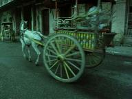 A Fei jingjyuhn