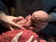 Alien Nation: The Enemy Within