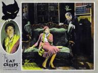 The Cat Creeps