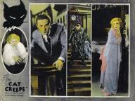 The Cat Creeps