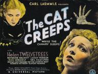 The Cat Creeps