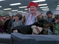 Christmas Vacation-2: Cousin Eddie's Island Adventure