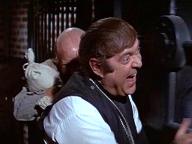 The Great Bank Robbery