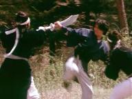 He xing dao shou tang lang tui