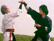 He xing dao shou tang lang tui
