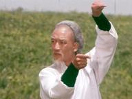 He xing dao shou tang lang tui