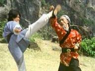 He xing dao shou tang lang tui