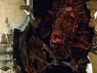 House of Bones