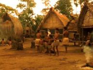 In a Savage Land