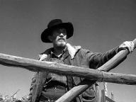 My Darling Clementine
