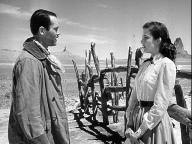 My Darling Clementine
