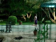 Rec-3: Genesis