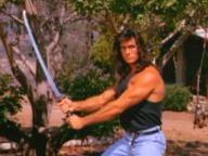 Samurai Cop