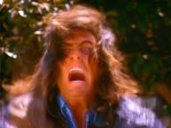 Samurai Cop