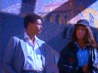Samurai Cop