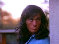 Samurai Cop