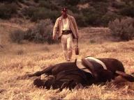 Savate