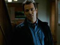 The Stepfather