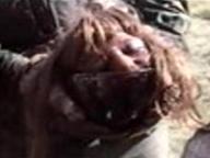 Violent Shit-2