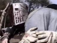 Violent Shit-2
