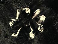 Dead Time: Kala