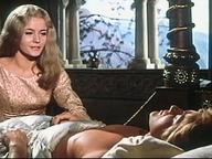 Die Nibelungen, Teil 2-Kriemhilds Rache