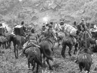 Shichinin no samurai