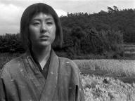 Shichinin no samurai