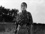 Shichinin no samurai