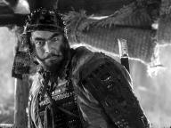 Shichinin no samurai