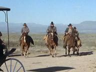 Tom Horn