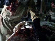 Werewolf: The Beast Among Us