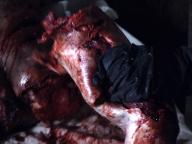 Werewolf: The Beast Among Us
