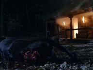 Werewolf: The Beast Among Us
