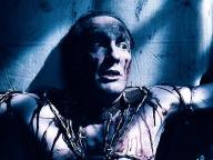 Asylum
