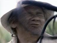 Black Snake