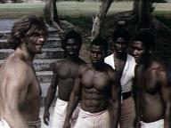 Black Snake