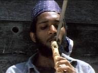 Black Snake
