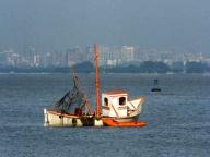 Catch the Heat