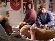 Encino Man