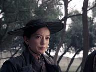 Jin yi wei