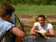 The Locusts