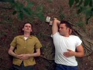 The Locusts