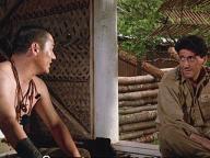 Merry Christmas Mr. Lawrence