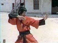 Il mio nome e Shangai Joe