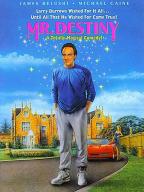 Mr. Destiny