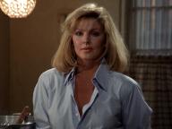 The Naked Gun: From the Files of Police Squad