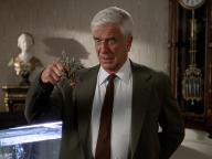 The Naked Gun: From the Files of Police Squad