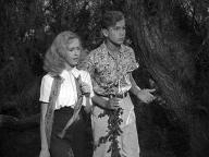 Nancy Drew Trouble Shooter