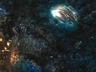 Predators